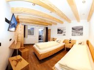 Chalet-apartment Berghof with (private) infrared cabin-15