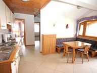 Chalet-apartment Voithofer Top 1-5
