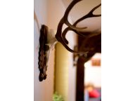 Chalet Kraxner catering included-15