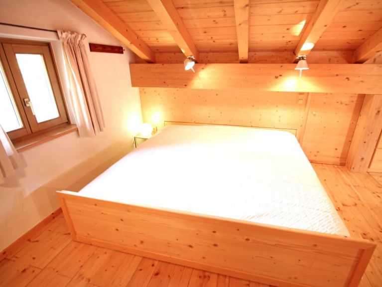 Chalet-apartment Hajenius