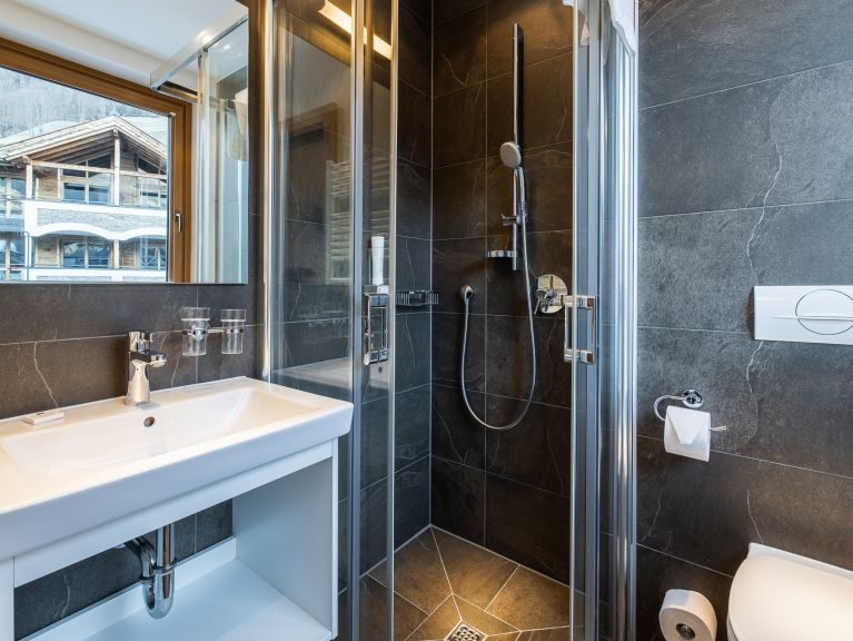 Chalet-apartment Wildkogelresorts Type IIIa