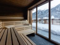 Chalet-apartment Das Neukirchen Penthouse Typ 3b - with private sauna-3