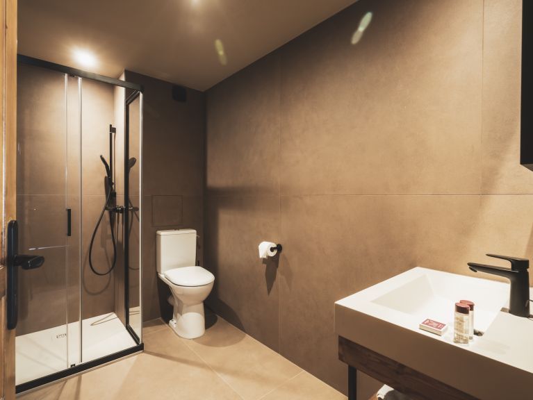 Chalet-apartment Montagnettes Hameau de la Sapinière with cabin