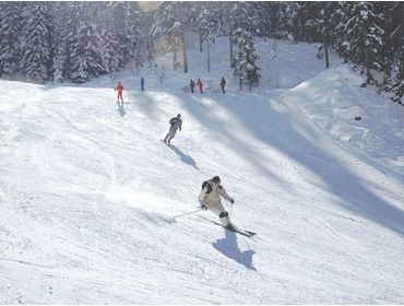 Ski village Child-friendly ski area with plenty of facilities-6