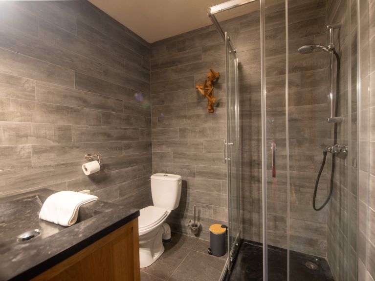 Apartment Les Chalets du Thorens