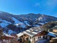 Chalet-apartment Sonnblick Top 4-17