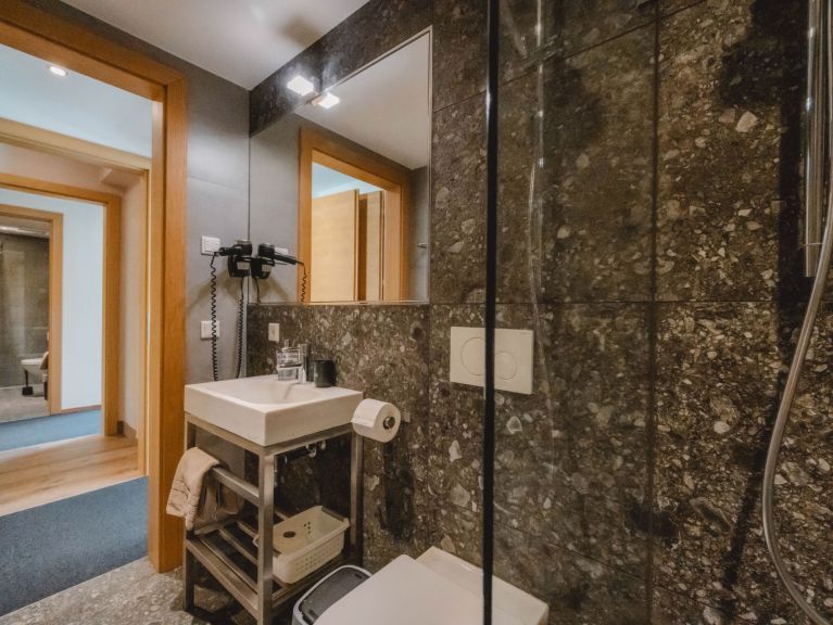 Chalet-apartment Fassl