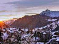 Chalet Le Vieux catering included and private sauna-17