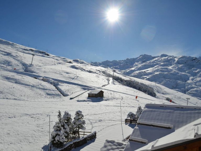 Chalet-apartment Les Alpages de Reberty