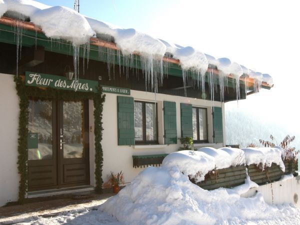 Chalet-apartment Fleur des Alpes Ancolie