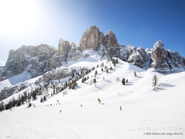 Dolomites - Val Gardena