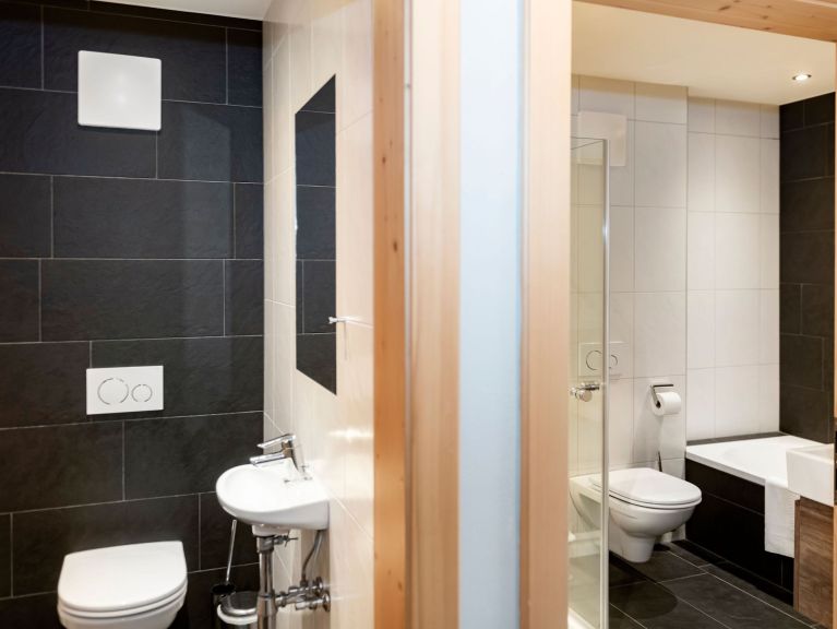 Apartment Residence Zillertal Type A2