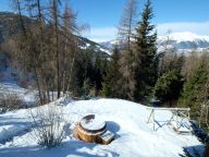 Chalet De Vallandry Nowen with sauna and outside whirlpool-3