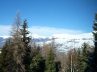 Chalet De Vallandry Nowen with sauna and outside whirlpool-29