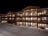 Chalet-apartment Das Neukirchen Type 1a-64