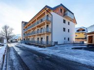 Apartment Ski & Nature Penthouse with private sauna-30