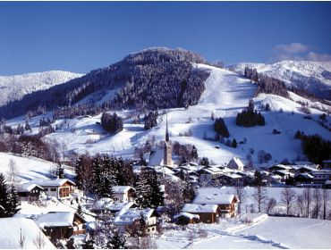 Ski village: Maria Alm-1