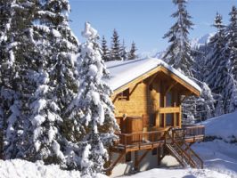 Chalets and apartments for 10 people in Austria