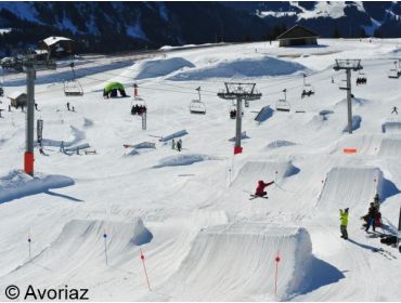 Ski village Most snow-certain winter sport village of Les Portes du Soleil-12