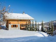 Chalet Teychenne Mungo with private sauna-27