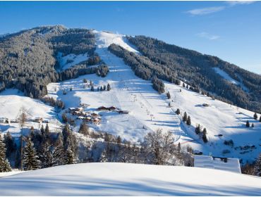 Ski village Small-scale, quiet winter-sport village; perfect for families-2