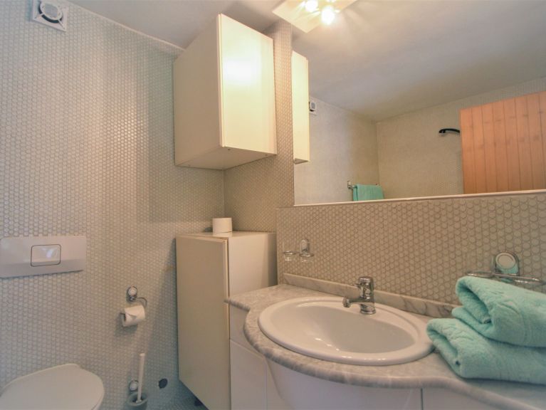 Chalet-apartment Rauter