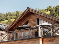 Chalet-apartment Das Neukirchen Type 2b-8
