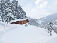 Chalet Hohe Alm-13