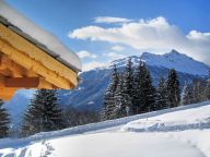 Chalet Teychenne Mungo with private sauna-20