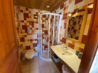 Chalet-apartment Fleur des Alpes Ancolie-9