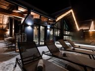 Chalet-apartment Das Neukirchen Type 1a-60