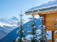 Chalet Teychenne Mungo with private sauna-21