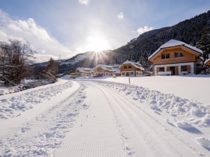 Chalet Riesneralm-1