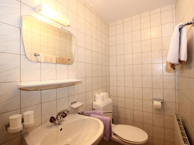 Chalet-apartment Honsnerhof