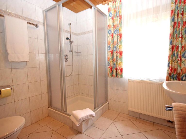 Chalet-apartment Voithofer Top 8