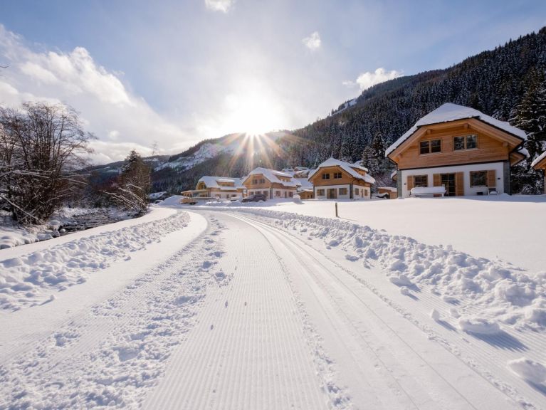 Chalet Riesneralm Auerhahn