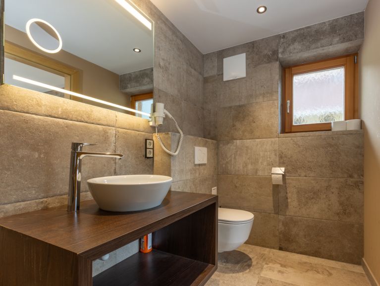 Chalet-apartment Alps Zillertal