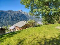 Chalet Les Oisillons with outdoor sauna-31