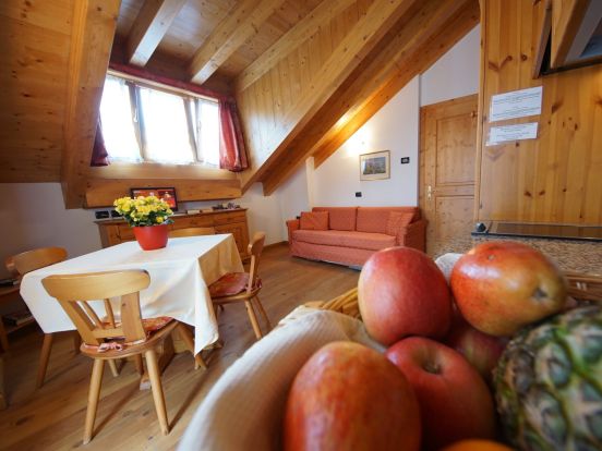 Chalet-apartment Baita Antlia-2