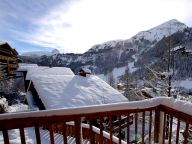 Chalet Zanskar with outdoor whirlpool-34
