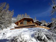 Chalet Zanskar with outdoor whirlpool-39