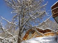 Chalet Zanskar with outdoor whirlpool-40