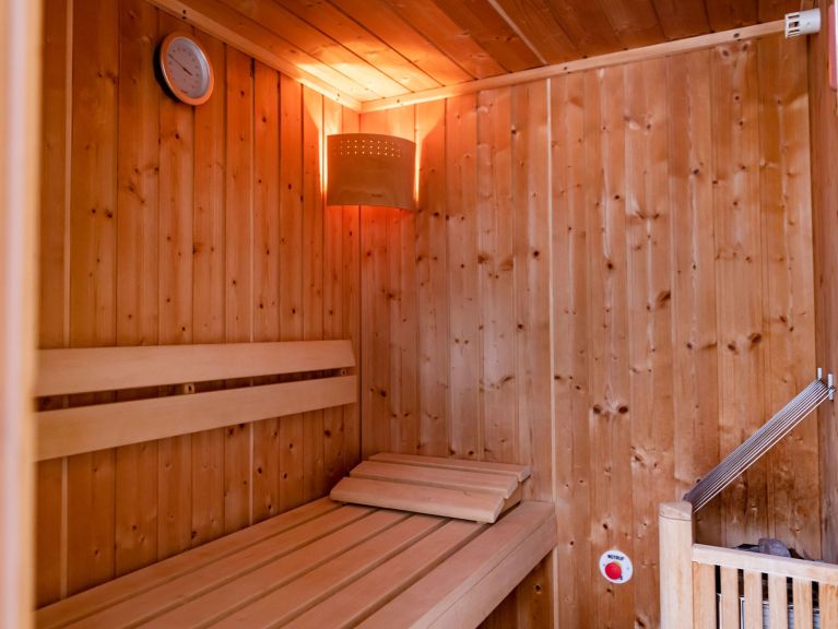 Apartment Gerlos Alpine Estate Penthouse Luxe with sauna