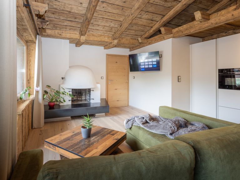 Chalet-apartment Alps Zillertal