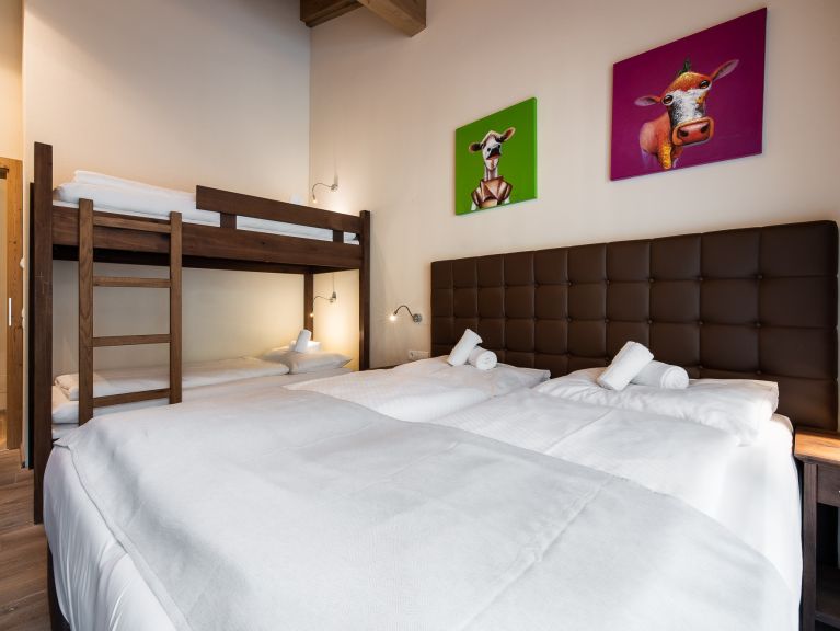 Chalet-apartment Wildkogelresorts Penthouse Type IIb