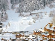 Chalet du Merle with private sauna-10