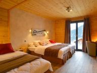 Chalet Les Frasses with private sauna and outdoor whirlpool-10