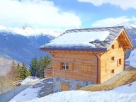 Chalet Perle des Collons with private sauna-15
