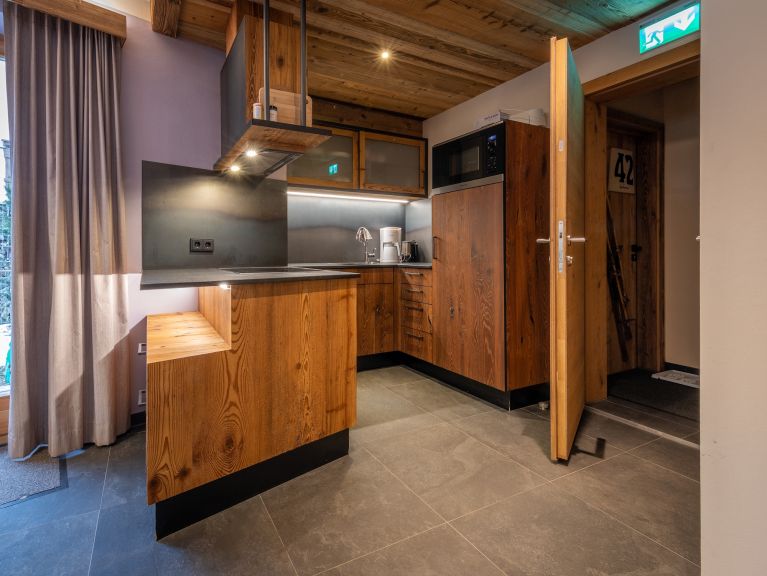 Chalet-apartment Alps Zillertal