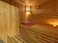 Chalet Perle des Collons with private sauna-3